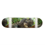 koala, koalas, koala bear, cute koala, koala bears, australia, australian koala, australian koala bear, bear, bears, marsupial, australian, aussie, mammal, animal, wildlife, wild life, wild animal, animals, koala photo, koala picture, love koalas