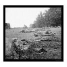 postcard - A classic image from Zazzle's extensive collection of historic American Civil War photographs and lithographs, courtesy of the Library of Congress. This commemorative poster print features a reproduction of a photograph depicting the tragedy of dead Confederate soldiers in the wheatfield near Emmittsburg road; casuaties during the Battle of Gettysburg, Pennsylvania; taken in July, 1863.