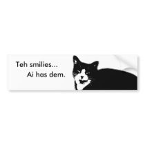 Cat2 Bumper Stickers
