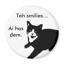 Cat2 Refrigerator Magnet