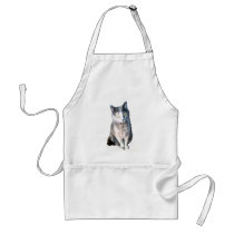 Cat 11, Apron