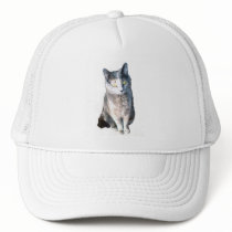 Cat 11, Hat