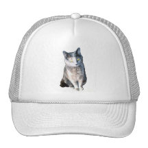 Cat 11, Hat
