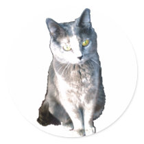 Cat 11 Stickers by dtp455 Cat 11 Stickers