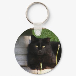 Cat 120 ~ KC keychain