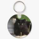 Cat 120 ~ keychain by Andy2302 Cat 120 ~ keychain