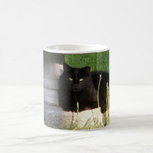 Cat 120 ~mug