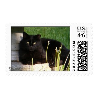Cat 120 ~ stamp stamp