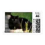 Cat 120 ~ stamp