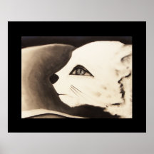 Cat 1 posters