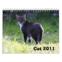 Cat 2011 wall calendars