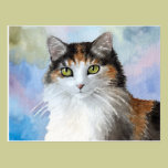 Cat 572 postcard postcards