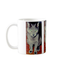 Cat #6, Mug