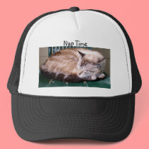 Cat 7, Nap Time,Hat by dtp455 Cat 7, Nap Time,Hat