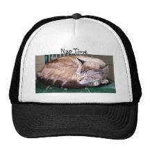 Cat 7, Nap Time,Hat