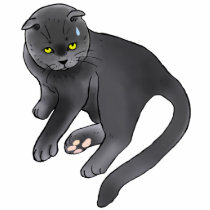 Cat-7 Photo Cutouts
