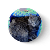 Cat 9, Button