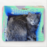 Cat 9, My Hiding Place, Mouse Pad