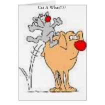 Cat A What?? cards