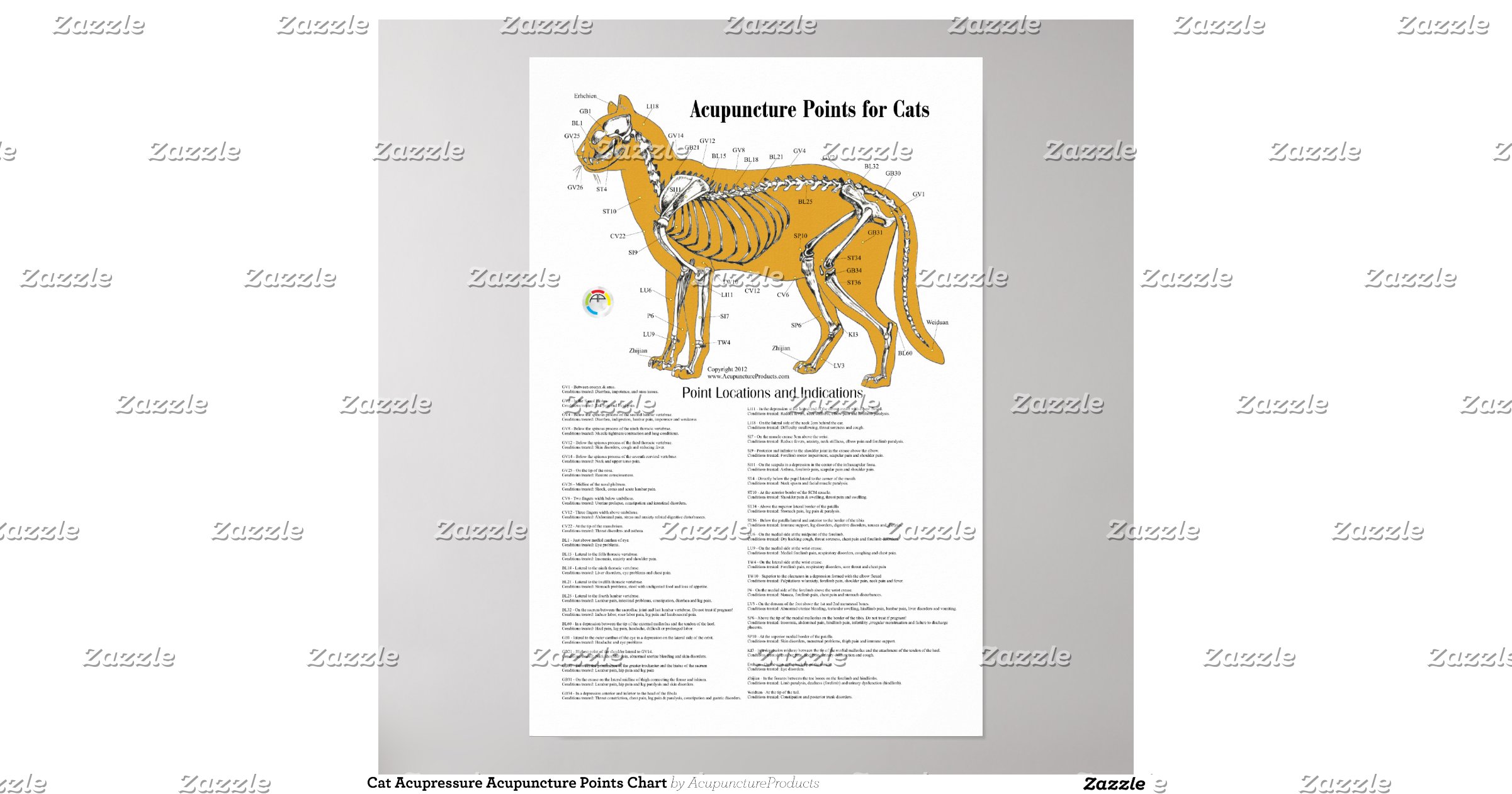 Cat Acupressure Acupuncture Points Chart Print Zazzle