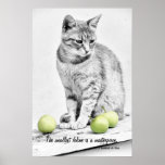 Cat and Apples Poster