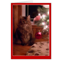 Cat and Christmas tree ornaments greeting card