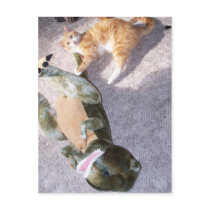 cat and dinosaur Postcard by KatAnnette cat and dinosaur Postcard