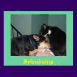 cat and dog friendship poster posters