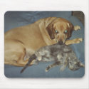 cat and dog mousepads