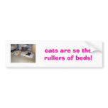 cat and dog nap time, cats are so the rullers o... bumper stickers