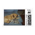 cat and dog postage
