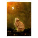 Cat And Fairy Cards