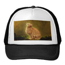 Cat And Fairy Mesh Hat
