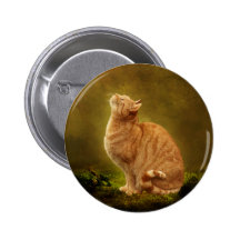 Cat And Fairy Pins