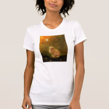 Cat And Fairy Tshirts