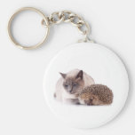 cat and hedgehog keychains