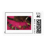 Cat and Mouse collection Stamps!