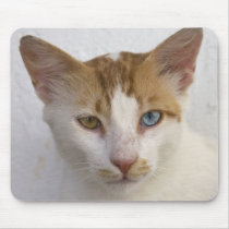 Cat and mouse mousepads