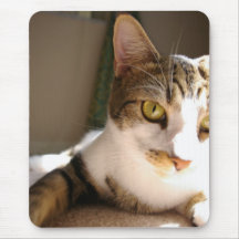 Cat and Mouse Pad