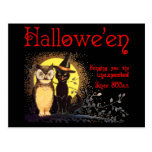 Cat and Owl in Vintage Halloween Postcard