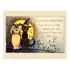 Cat and Owl in Vintage Halloween Postcard