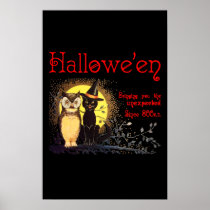 Cat and Owl in Vintage Halloween  Poster