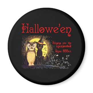Cat and Owl Magnet