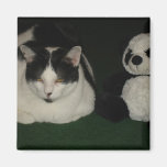 Cat and Panda Friends Fridge Magnets