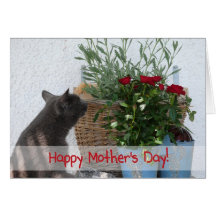 Cat and Roses Happy Mother's Day! Greeting Card