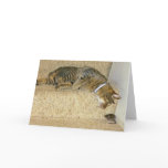 Cat and Tasty Mouse cards