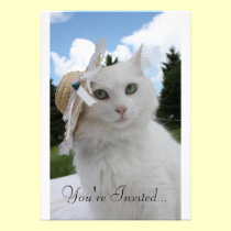 Cat and the Hat invitations