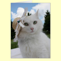 Cat and the Hat cards by JCatGarden Cat and the Hat cards