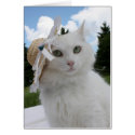 Cat and the Hat cards
