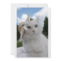 Cat and the Hat invitations